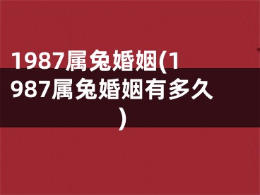 1987属兔婚姻(1987属兔婚姻有多久)
