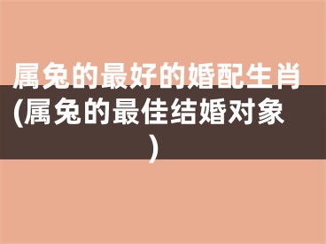 属兔的最好的婚配生肖(属兔的最佳结婚对象)