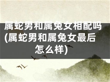 属蛇男和属兔女相配吗(属蛇男和属兔女最后怎么样)