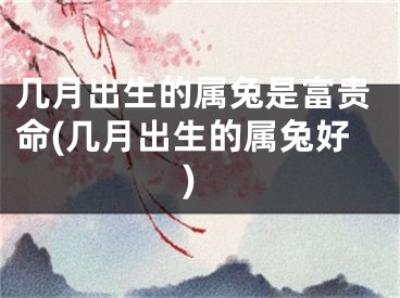 几月出生的属兔是富贵命(几月出生的属兔好)