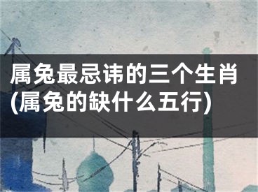 属兔最忌讳的三个生肖(属兔的缺什么五行)