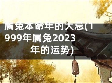 属兔本命年的大忌(1999年属兔2023年的运势)