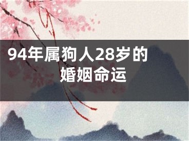 94年属狗人28岁的婚姻命运