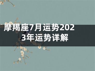 摩羯座7月运势2023年运势详解