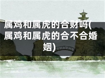 属鸡和属虎的合财吗(属鸡和属虎的合不合婚姻)