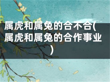 属虎和属兔的合不合(属虎和属兔的合作事业)