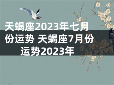 天蝎座2023年七月份运势 天蝎座7月份运势2023年