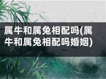 属牛和属兔相配吗(属牛和属兔相配吗婚姻)