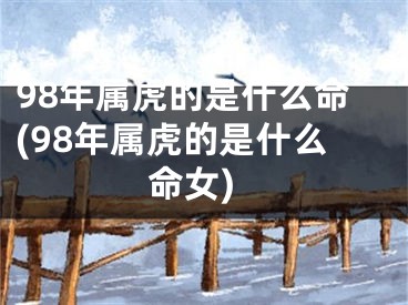 98年属虎的是什么命(98年属虎的是什么命女)