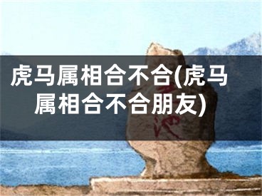 虎马属相合不合(虎马属相合不合朋友)