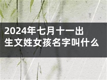 2024年七月十一出生文姓女孩名字叫什么