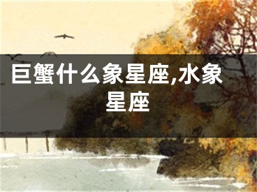 巨蟹什么象星座,水象星座