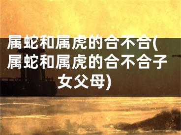 属蛇和属虎的合不合(属蛇和属虎的合不合子女父母)
