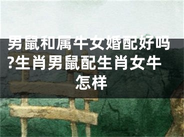 男鼠和属牛女婚配好吗?生肖男鼠配生肖女牛怎样