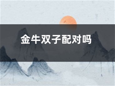 金牛双子配对吗