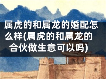 属虎的和属龙的婚配怎么样(属虎的和属龙的合伙做生意可以吗)