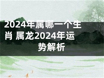 2024年属哪一个生肖 属龙2024年运势解析