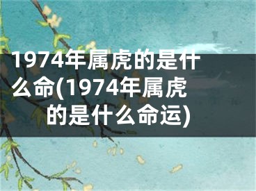1974年属虎的是什么命(1974年属虎的是什么命运)