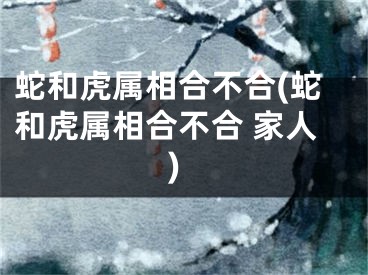 蛇和虎属相合不合(蛇和虎属相合不合 家人)