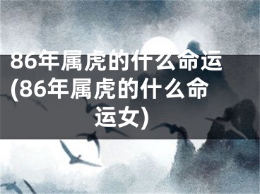 86年属虎的什么命运(86年属虎的什么命运女)