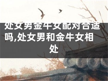 处女男金牛女配对合适吗,处女男和金牛女相处