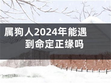 属狗人2024年能遇到命定正缘吗