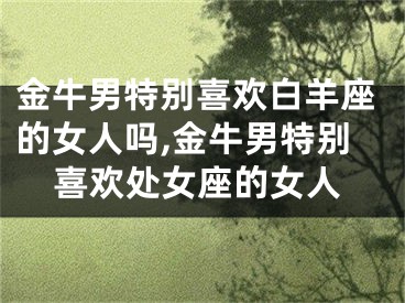 金牛男特别喜欢白羊座的女人吗,金牛男特别喜欢处女座的女人