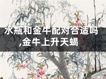 水瓶和金牛配对合适吗,金牛上升天蝎