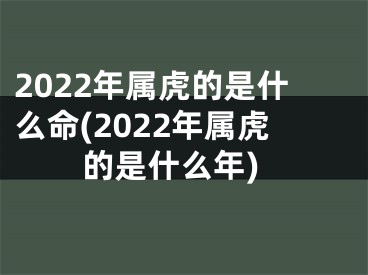 2022年属虎的是什么命(2022年属虎的是什么年)