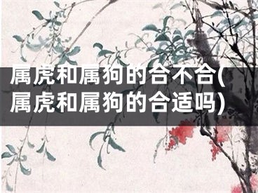 属虎和属狗的合不合(属虎和属狗的合适吗)
