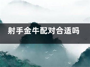 射手金牛配对合适吗