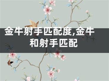 金牛射手匹配度,金牛和射手匹配