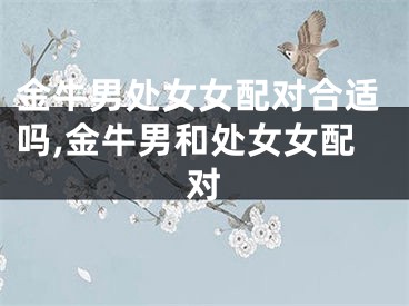 金牛男处女女配对合适吗,金牛男和处女女配对
