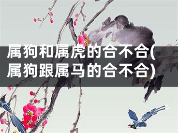 属狗和属虎的合不合(属狗跟属马的合不合)