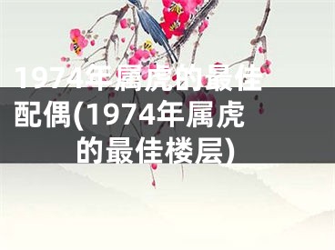 1974年属虎的最佳配偶(1974年属虎的最佳楼层)
