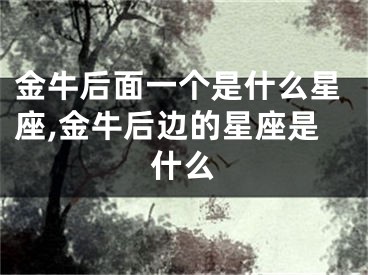 金牛后面一个是什么星座,金牛后边的星座是什么