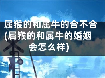 属猴的和属牛的合不合(属猴的和属牛的婚姻会怎么样)
