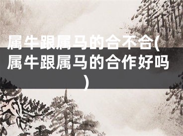 属牛跟属马的合不合(属牛跟属马的合作好吗)