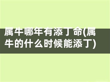 属牛哪年有添丁命(属牛的什么时候能添丁)