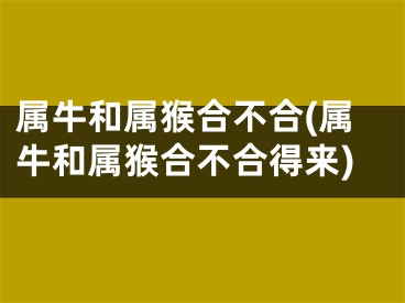 属牛和属猴合不合(属牛和属猴合不合得来)