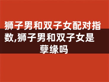 狮子男和双子女配对指数,狮子男和双子女是孽缘吗