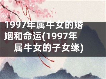 1997年属牛女的婚姻和命运(1997年属牛女的子女缘)