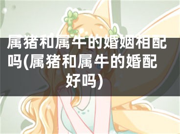 属猪和属牛的婚姻相配吗(属猪和属牛的婚配好吗)