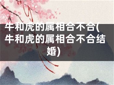 牛和虎的属相合不合(牛和虎的属相合不合结婚)