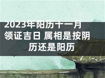 2023年阳历十一月领证吉日 属相是按阴历还是阳历