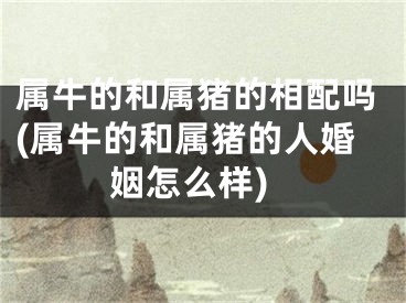 属牛的和属猪的相配吗(属牛的和属猪的人婚姻怎么样)