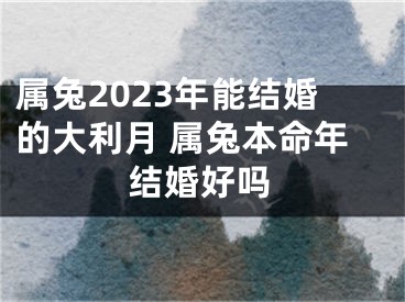 属兔2023年能结婚的大利月 属兔本命年结婚好吗