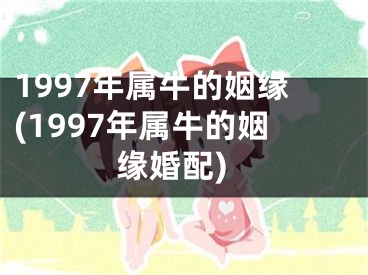 1997年属牛的姻缘(1997年属牛的姻缘婚配)