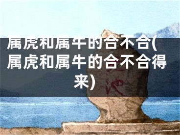 属虎和属牛的合不合(属虎和属牛的合不合得来)