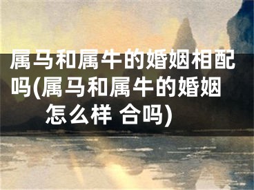 属马和属牛的婚姻相配吗(属马和属牛的婚姻怎么样 合吗)